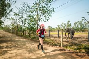 Trail runner near elephant during Thailand ultra trail race