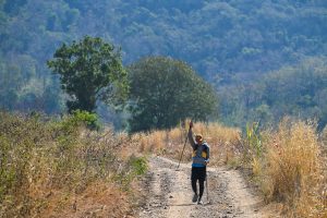 Trail runner with poles on rough terrain Thailand